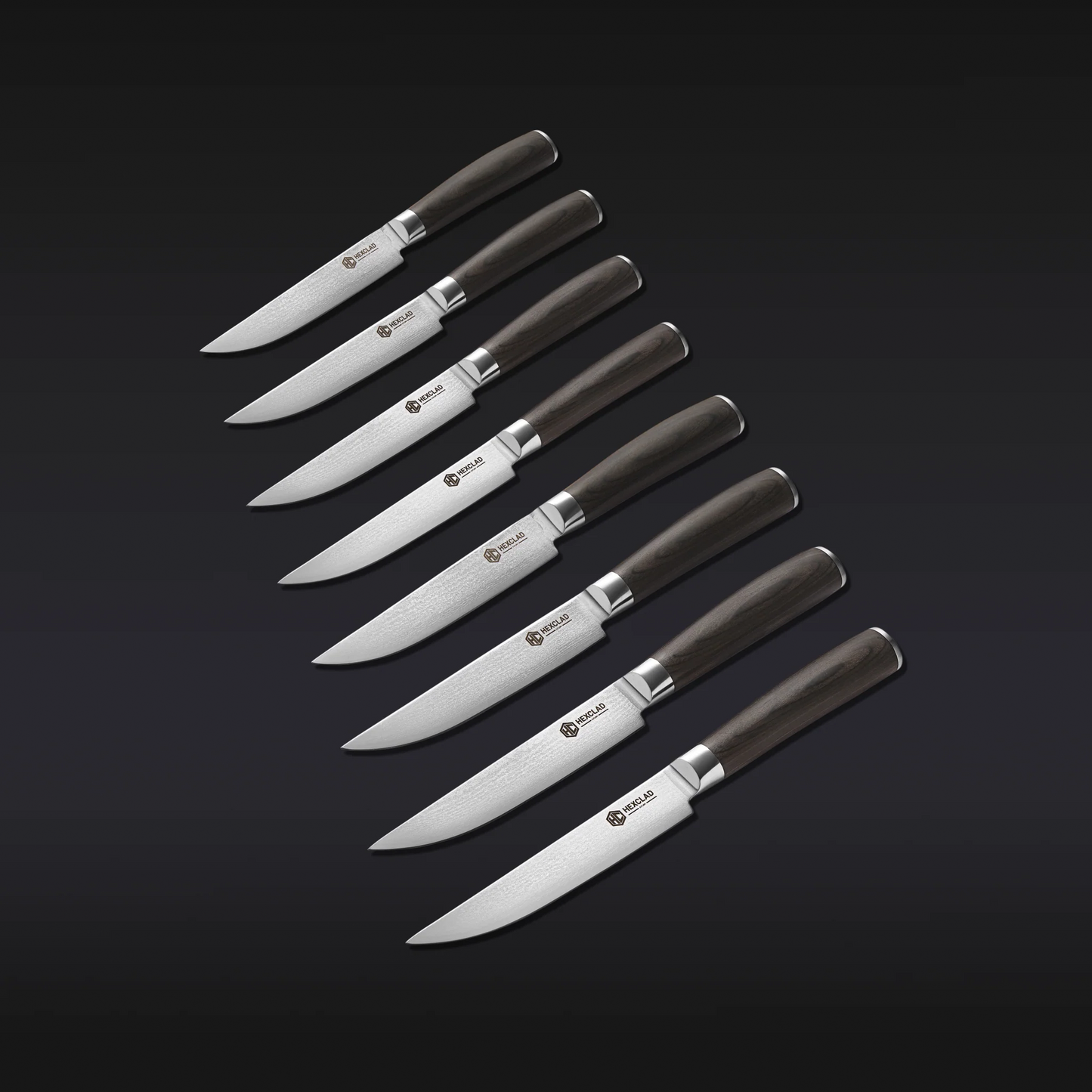 Steak Knife & Bistecca Plate Set, 16-pc (Espresso)